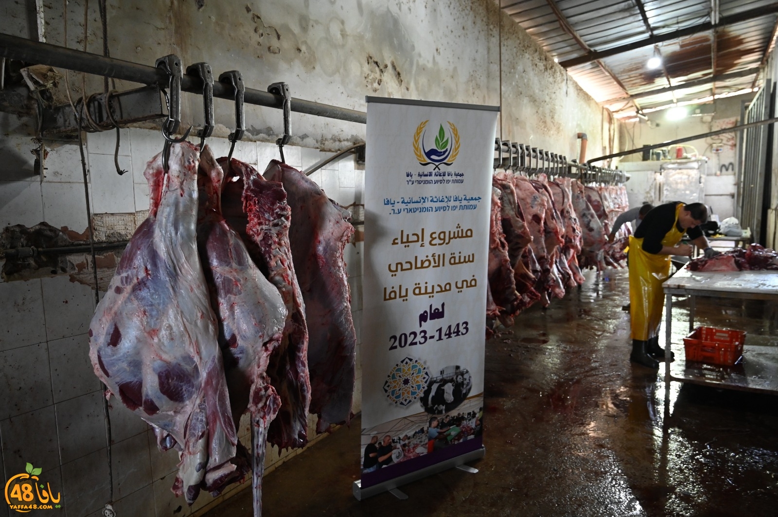 WhatsApp Image 2023-06-29 at 3.40.47 PM.jpg